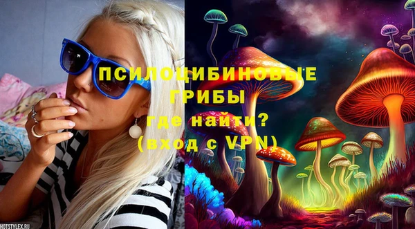 твердый Осташков