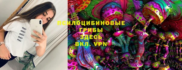 jwh Осинники