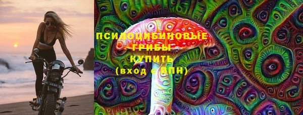твердый Осташков