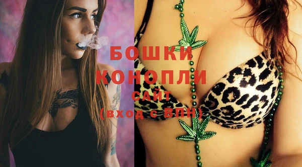 твердый Осташков