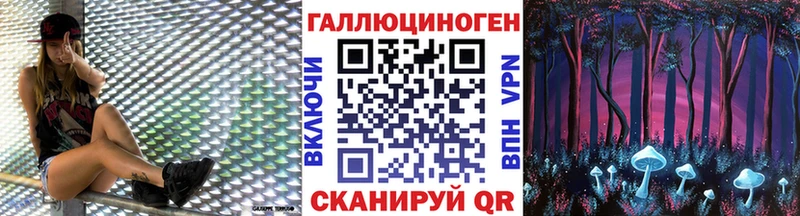 blacksprut ССЫЛКА  Находка  Галлюциногенные грибы Psilocybe 