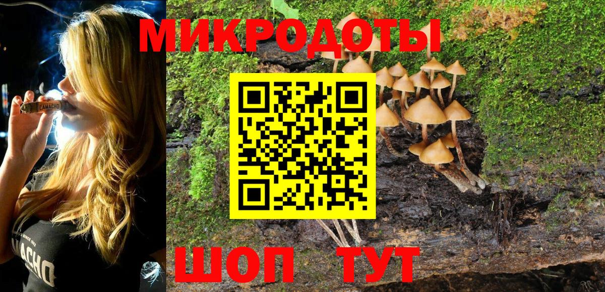 Псилоцибиновые грибы мицелий  Вход с VPN  Псилоцибиновые грибы ЛСД  Находка 